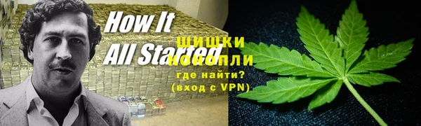 индика Абдулино