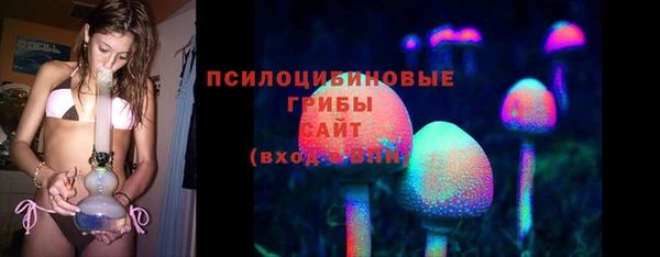 индика Абдулино