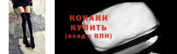 крисы Абаза