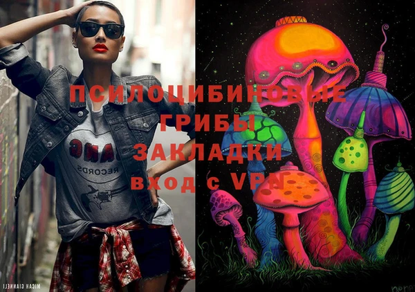 крисы Абаза