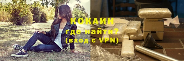 крисы Абаза