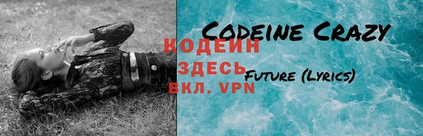 крисы Абаза