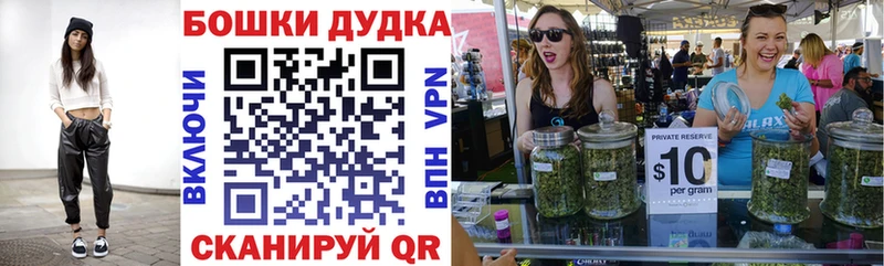 Конопля гибрид  Кораблино 